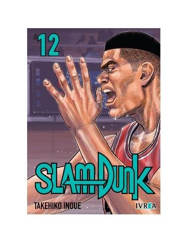 SLAM DUNK NEW EDITION VOL 12