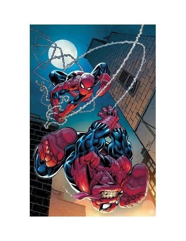 EL ASOMBROSO SPIDERMAN 24