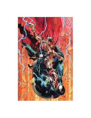 THOR 28 (135)