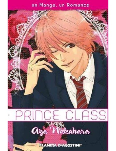 PRINCE CLASS