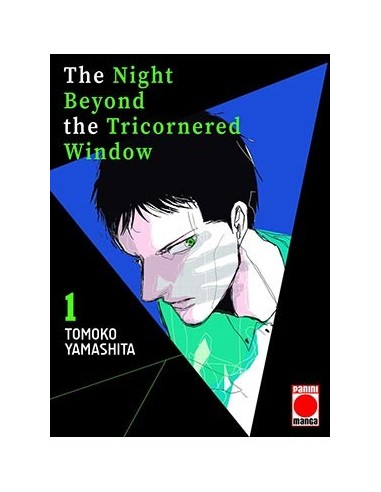 THE NIGHT BEYOND THE TRICORNERED WINDOW 01
