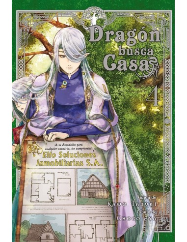 DRAGÓN BUSCA CASA 4