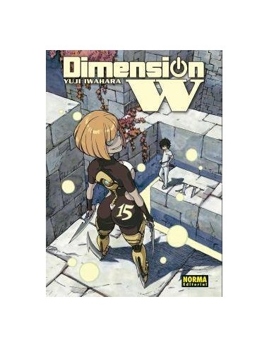 DIMENSION W 15