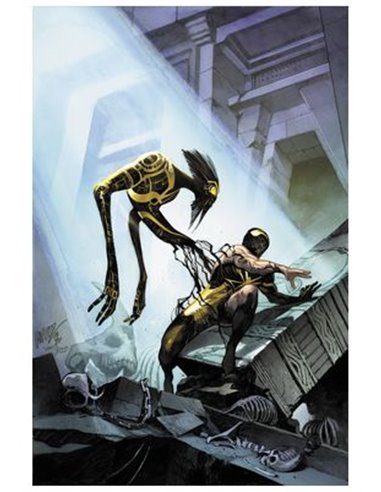 EL ASOMBROSO SPIDERMAN 05