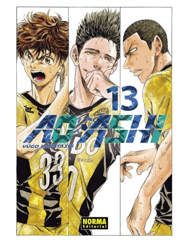 AO ASHI 13