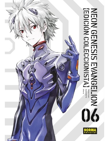 Neon genesis evangelion. Ed. Coleccionista 06