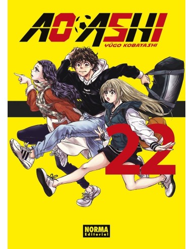 AO ASHI 22