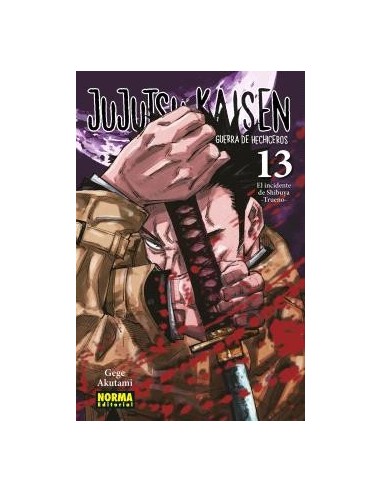 JUJUTSU KAISEN 13
