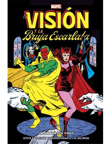 LA VISION Y LA BRUJA ESCARLATA. UN AÑO EN SUS VIDAS