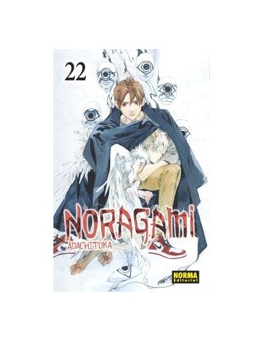 NORAGAMI 22