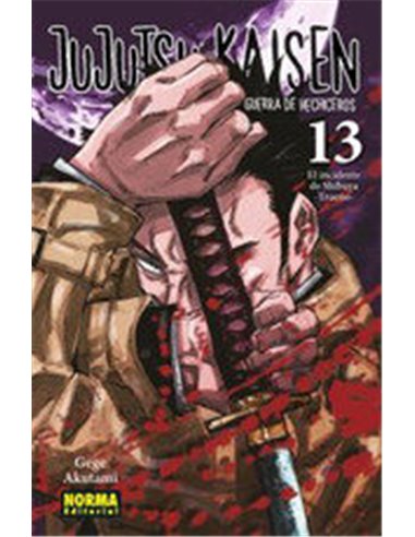 JUJUTSU KAISEN 13