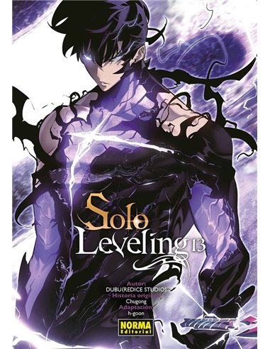 SOLO LEVELING 13