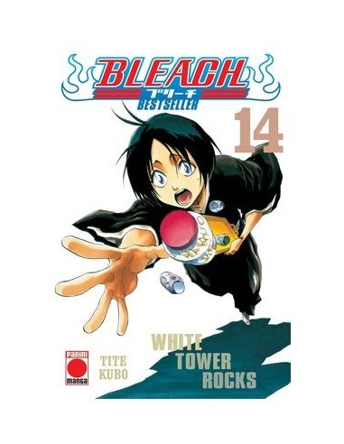 BLEACH BESTSELLER 14
