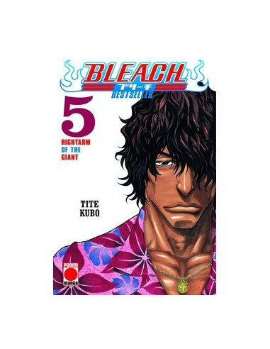 BLEACH BESTSELLER 05