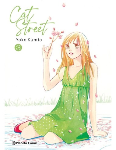 CAT STREET 3