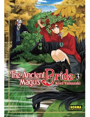 SEGUNDA MANO ANCIENT MAGUS BRIDE 3